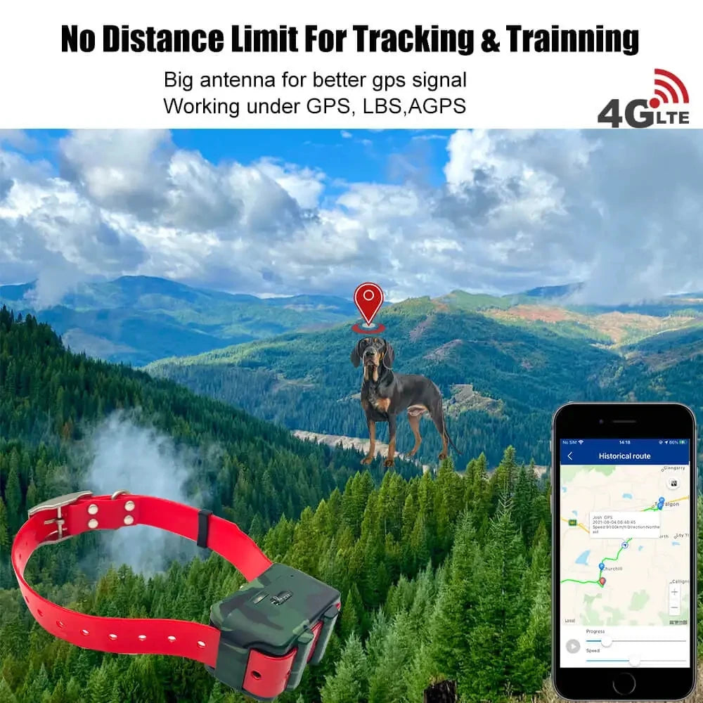 4G GPS Tracker Dog Collar for Hunting Dogs