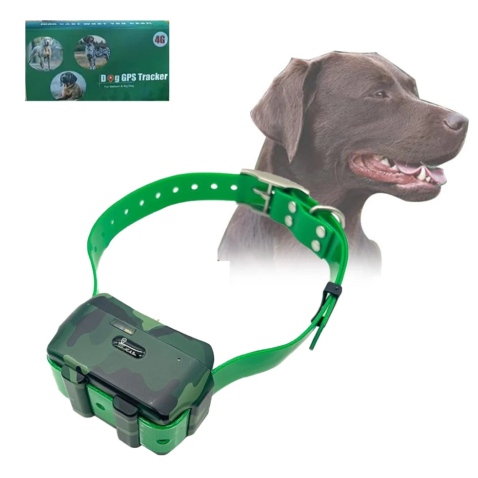 4G GPS Tracker Dog Collar for Hunting Dogs