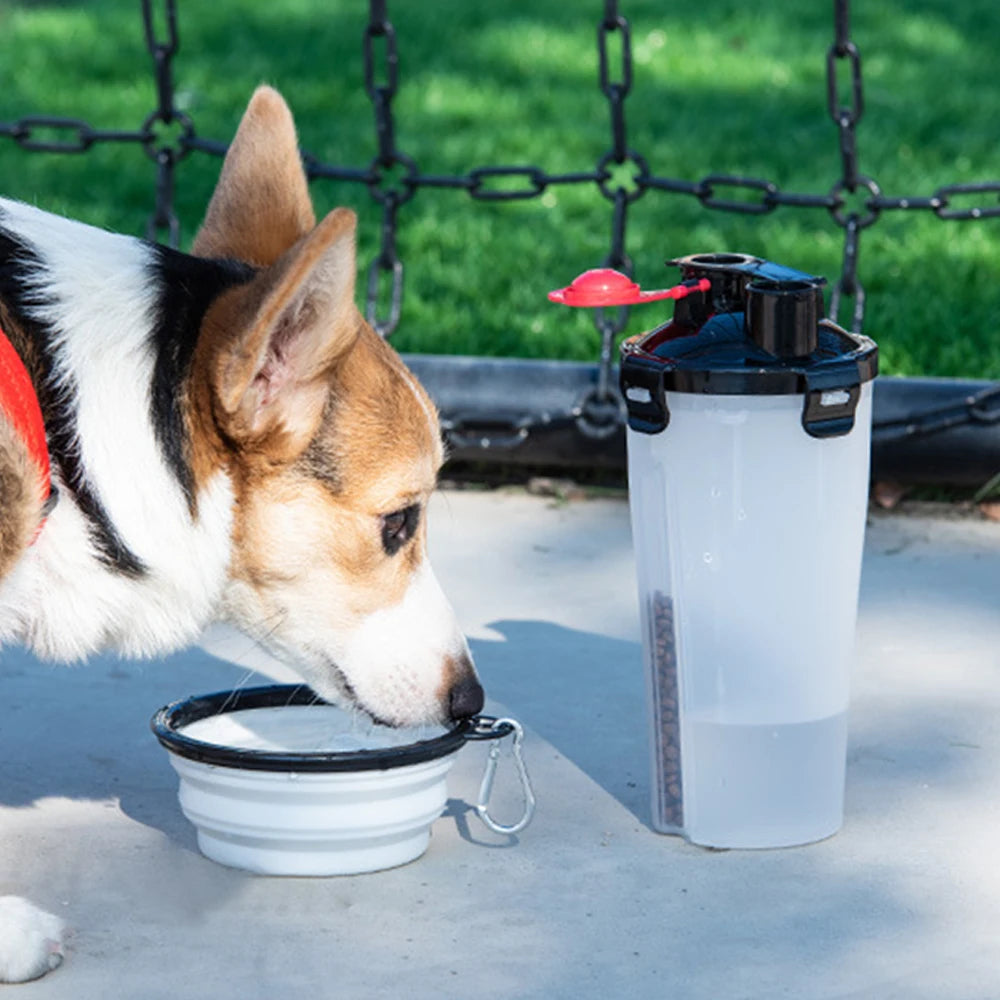 Portable Folding Food Bowl Drinking Bottle Set with Hook