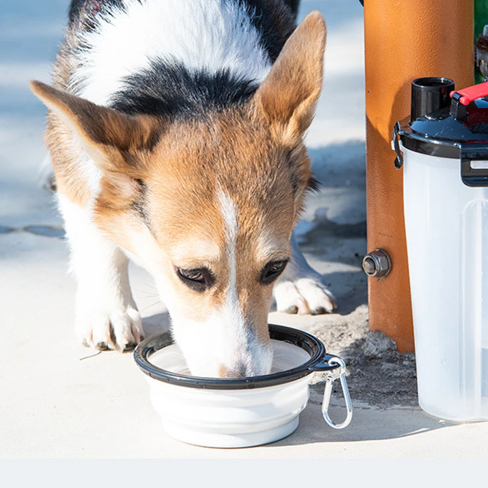 Portable Folding Food Bowl Drinking Bottle Set with Hook