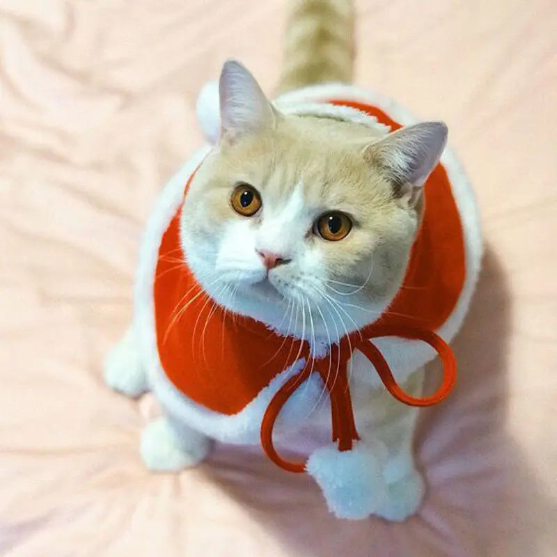 Cat Costume Santa Cosplay