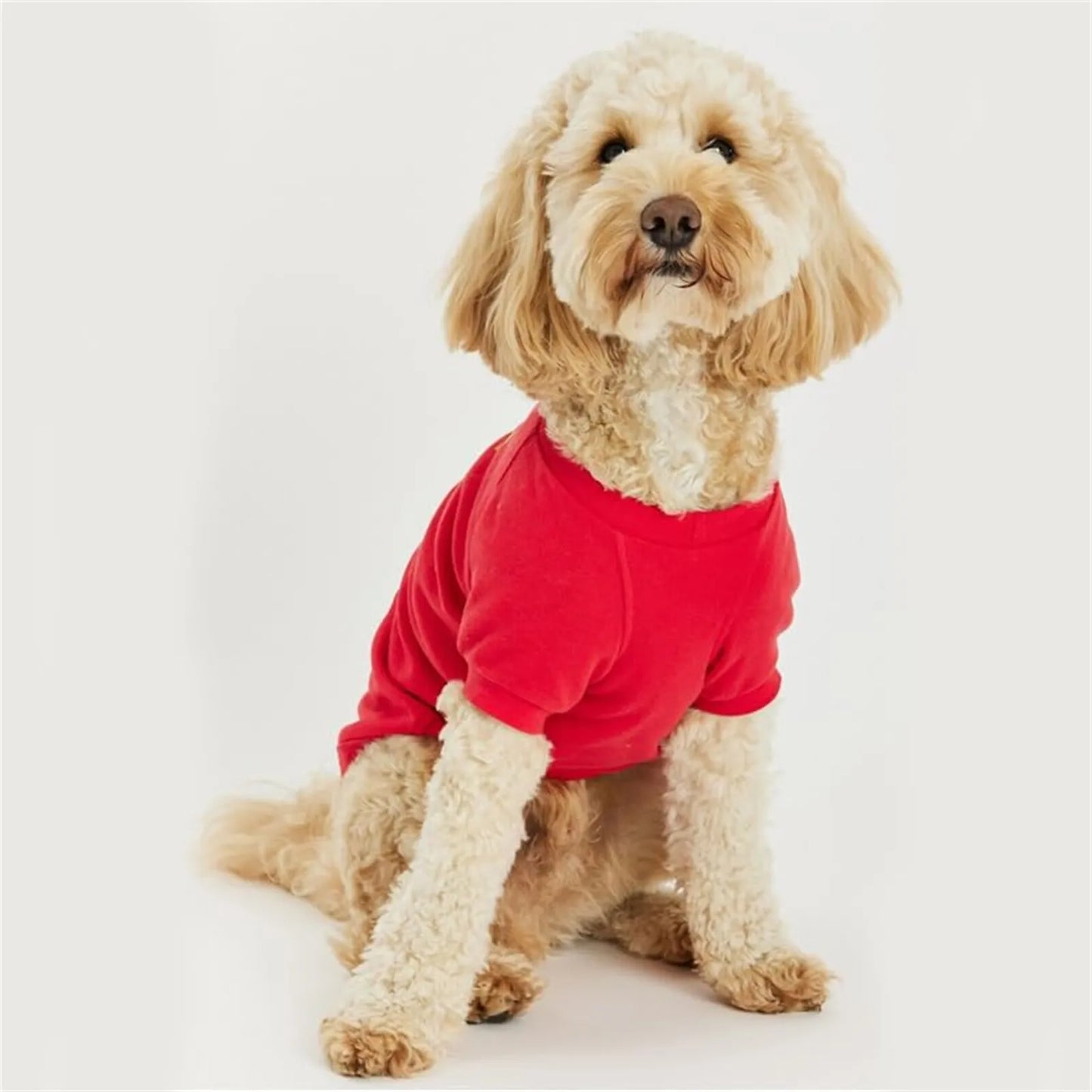 Pet Dogs Hoodies