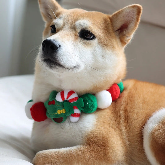 Christmas Dog Cat Collar s