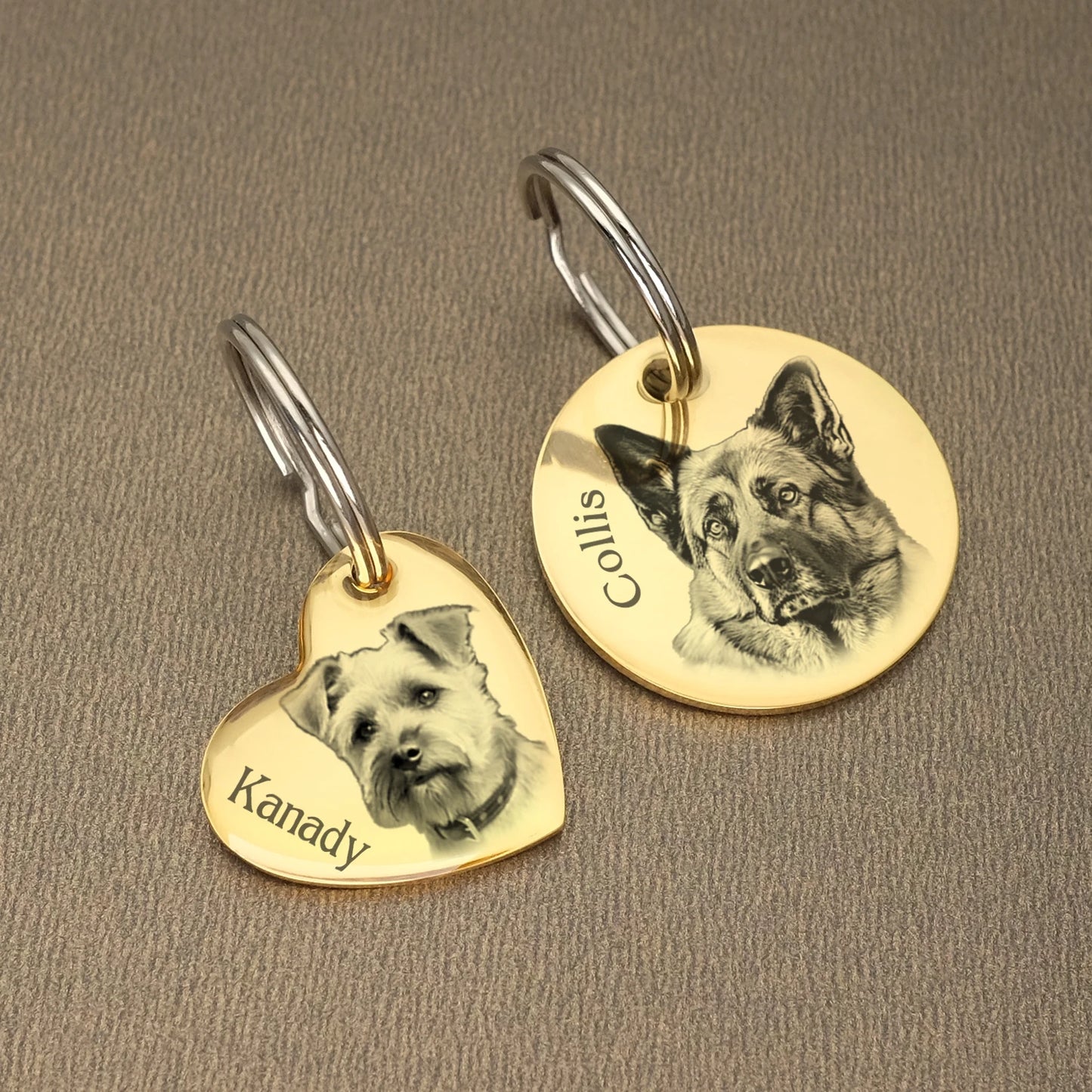 Customizable Stainless Steel Dog Tags