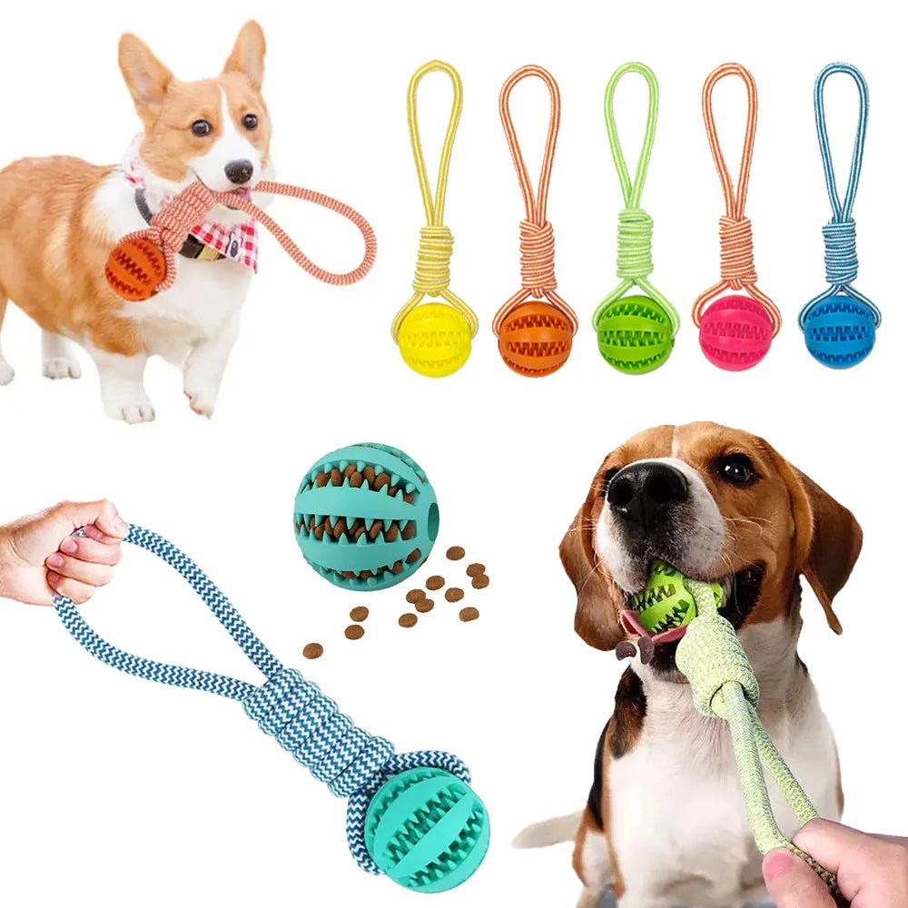 Dog Ball Toy with Rope