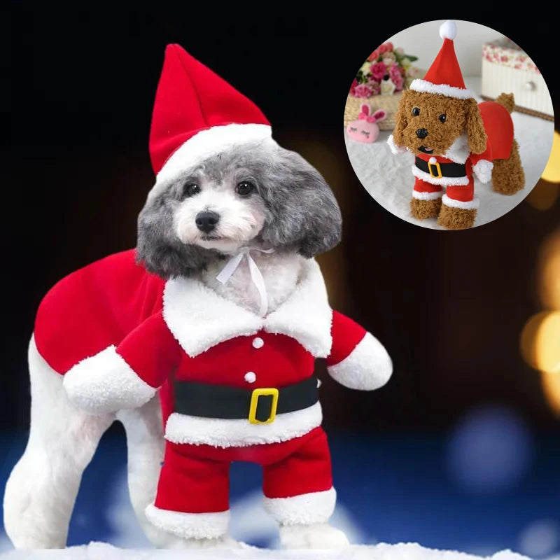 Christmas Dog Costume