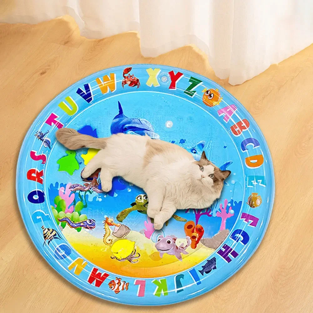 Sensory Water Mat