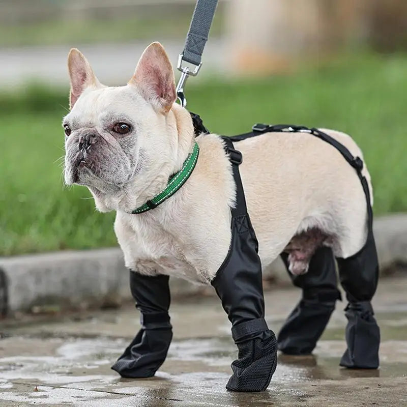 Dog Shoes Waterproof Adjustable