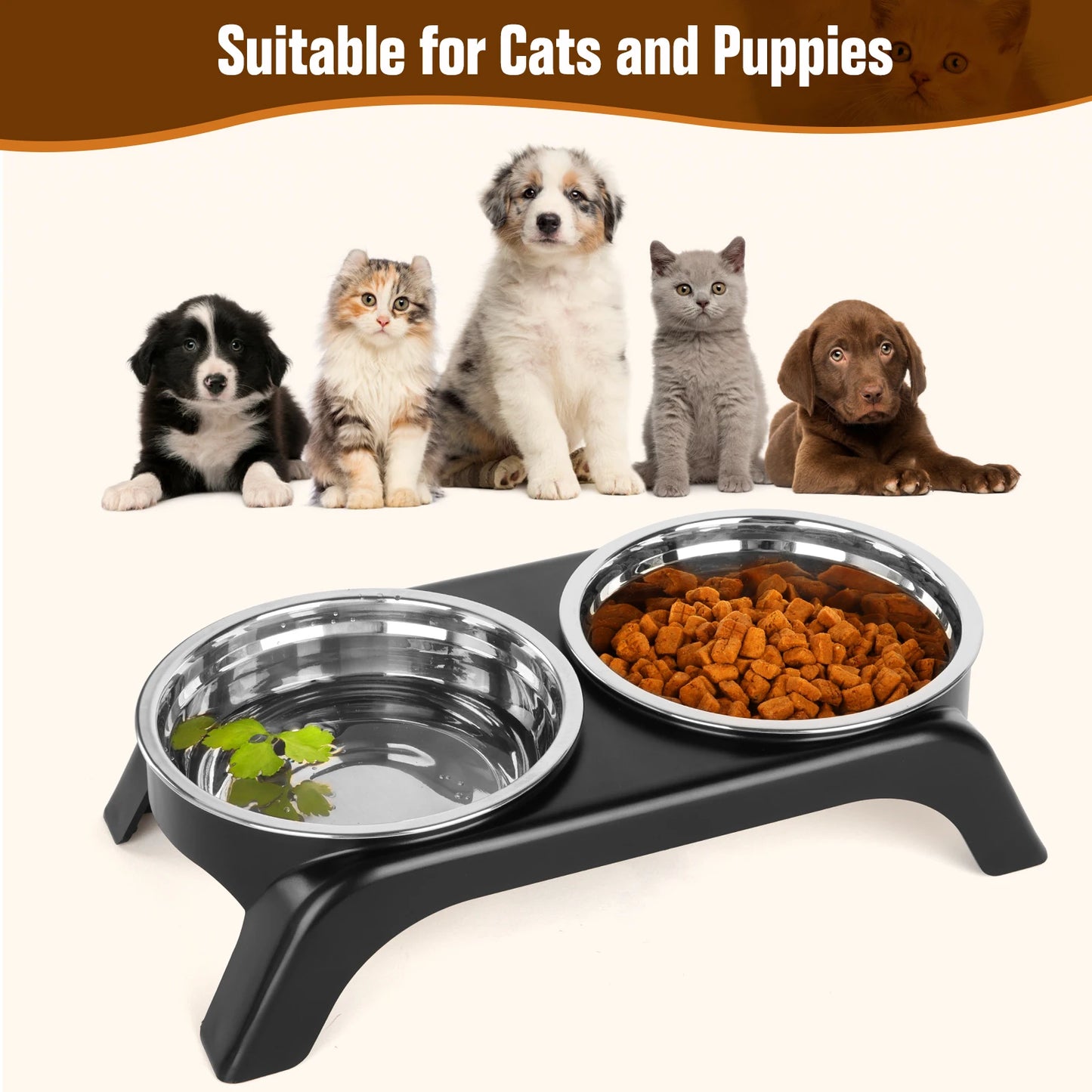 Elevated Food Water Bowl Set