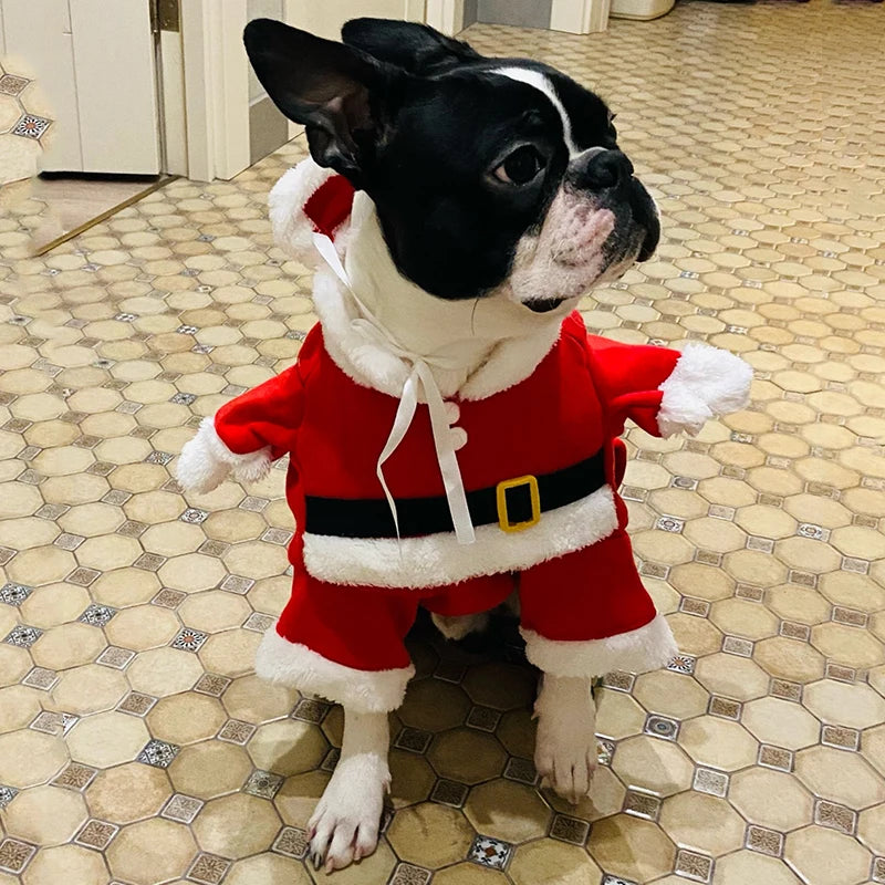 Christmas Dog Costume