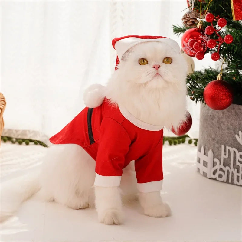 Cat and dog Christmas Clothing