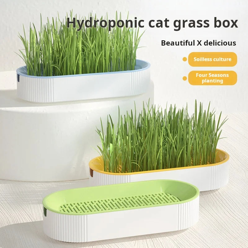 Hydroponic Cat Grass Box