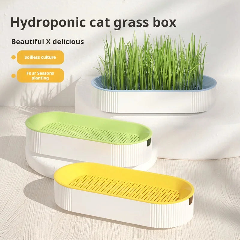 Hydroponic Cat Grass Box