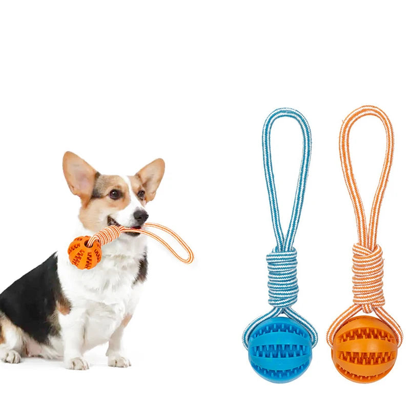 Dog Ball Toy with Rope