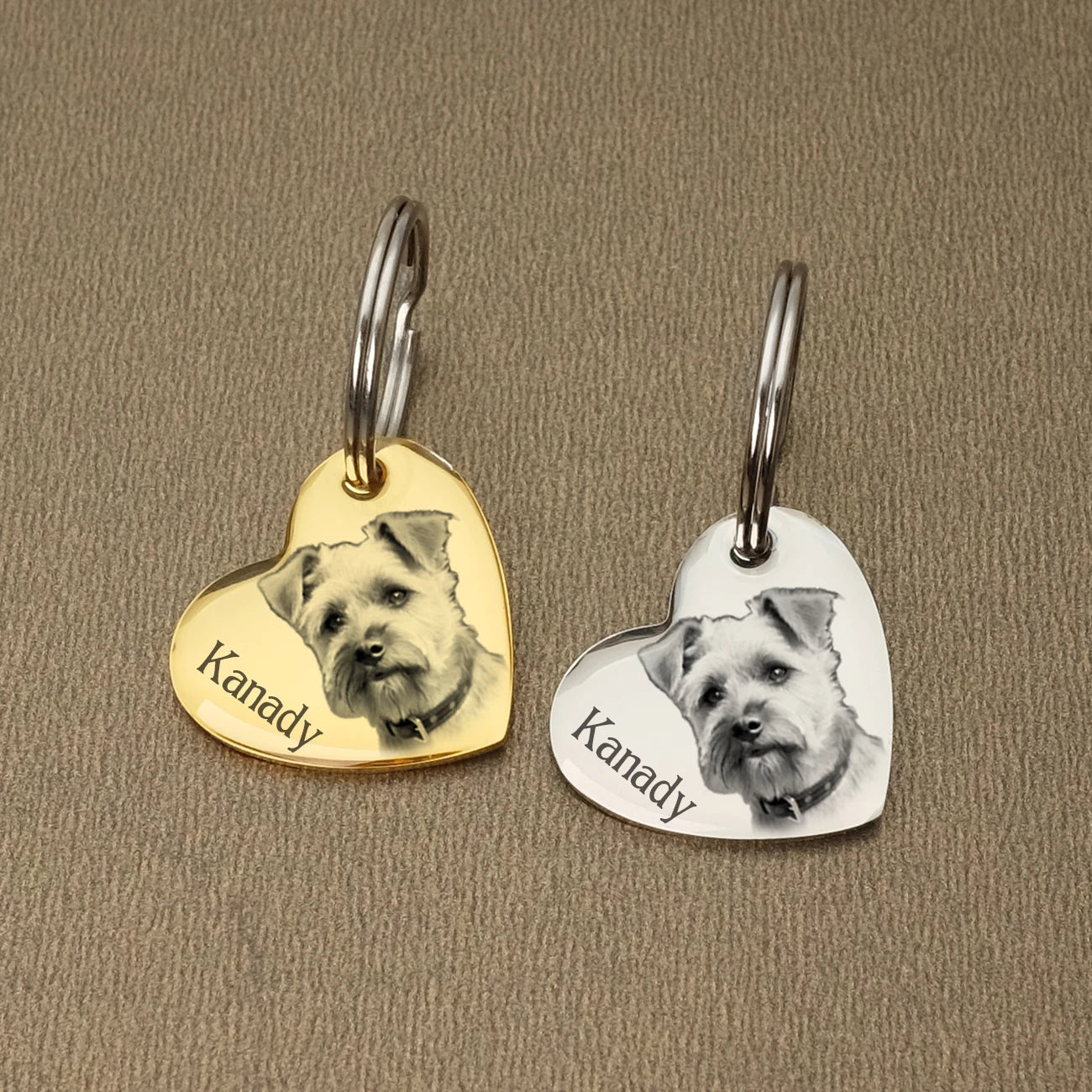 Customizable Stainless Steel Dog Tags