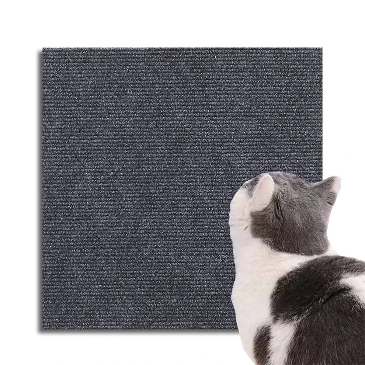 Cat Scratching Mat