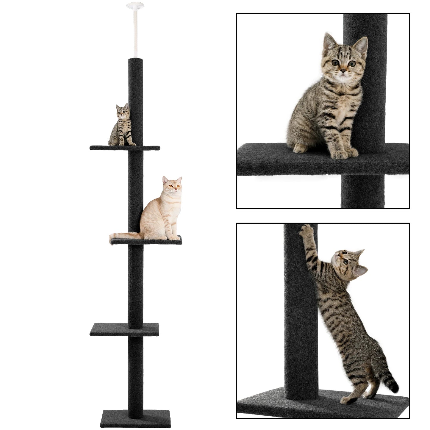 Adjustable Height Cat Tree for Indoor