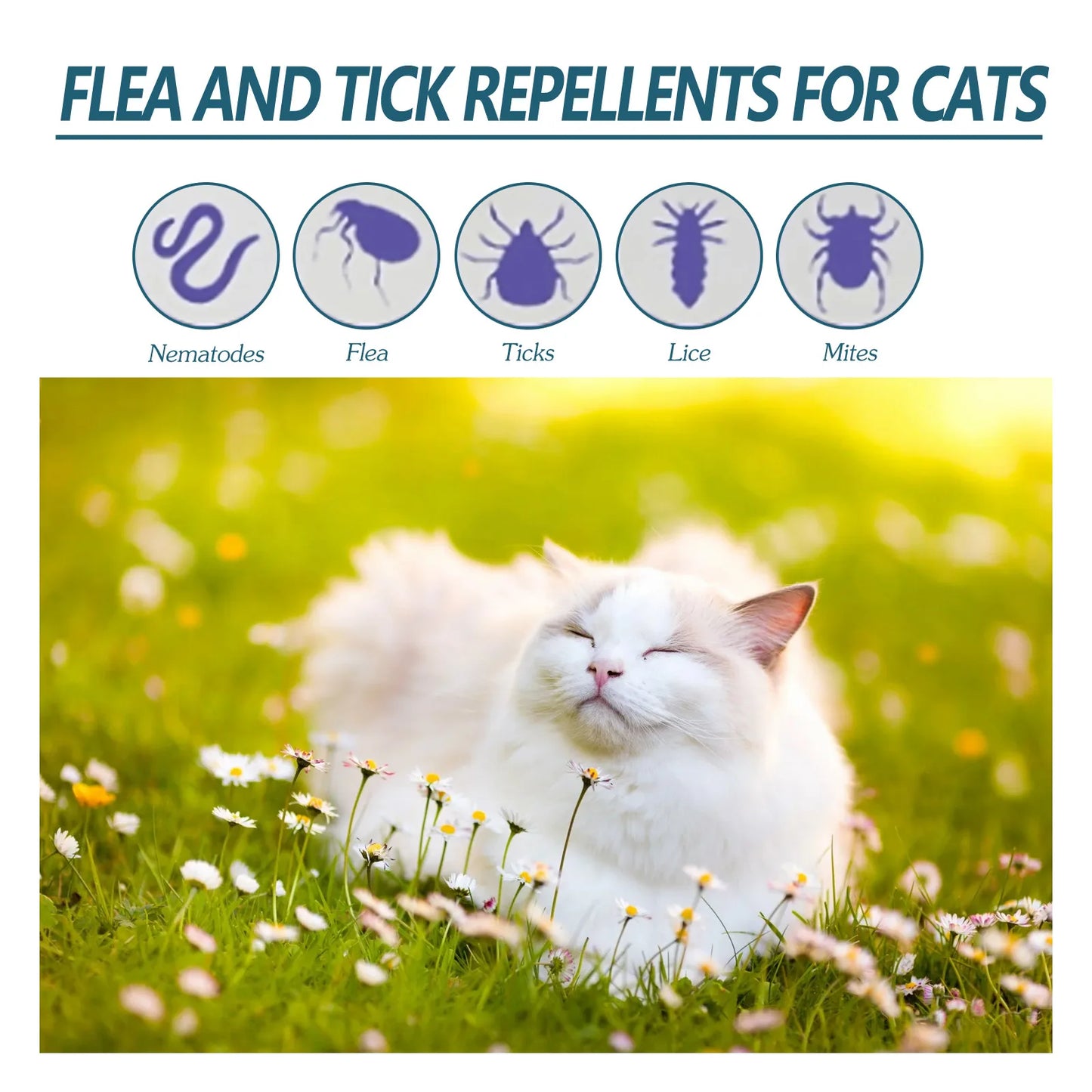 Anti Fleas Ticks Lice Mite Removal Ringworm Treatment Drops