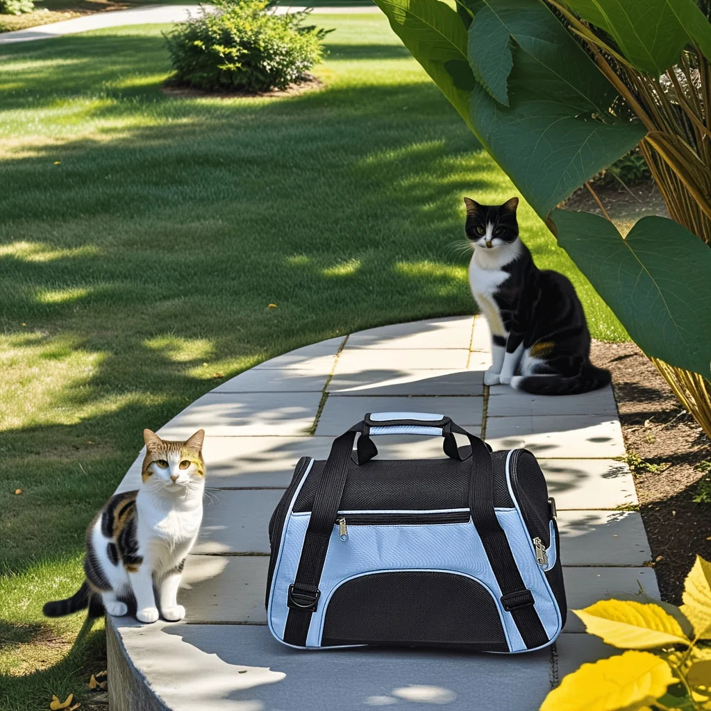 Pet Travel Carrier For Small Dog And Cat,