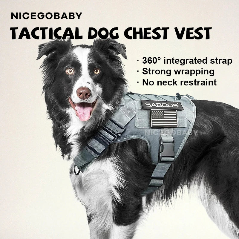 RDsPetSupplies24