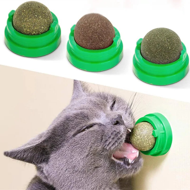 Natural Catnip Cat Wall Stick-on Ball