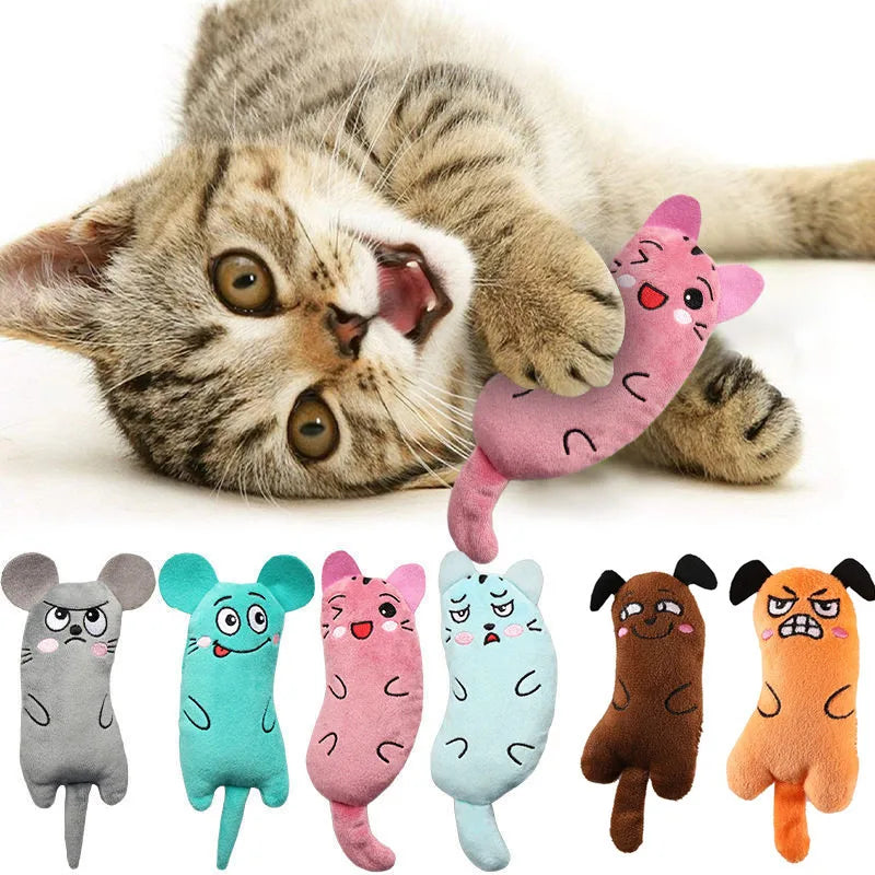 Cute Cat Toys Funny