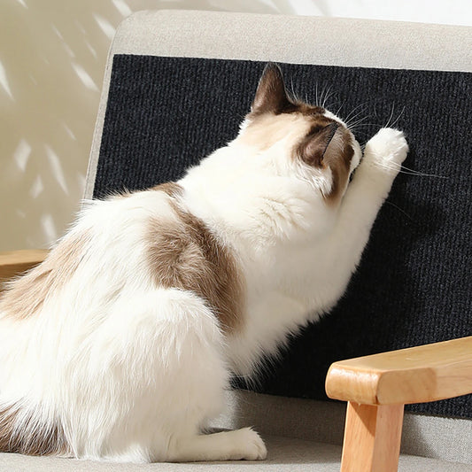 Cat Scratching Mat