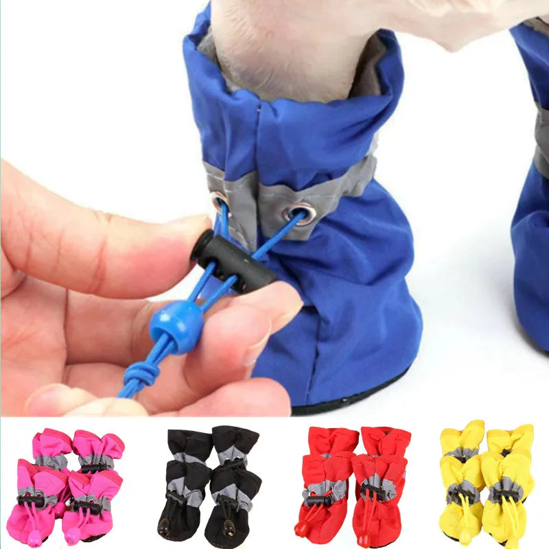 RDsPetSupplies24