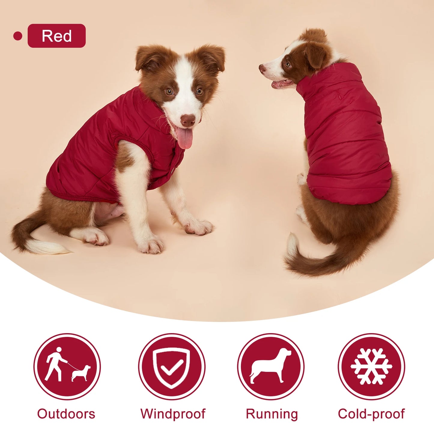 Winter Dog Clothes Outdoor