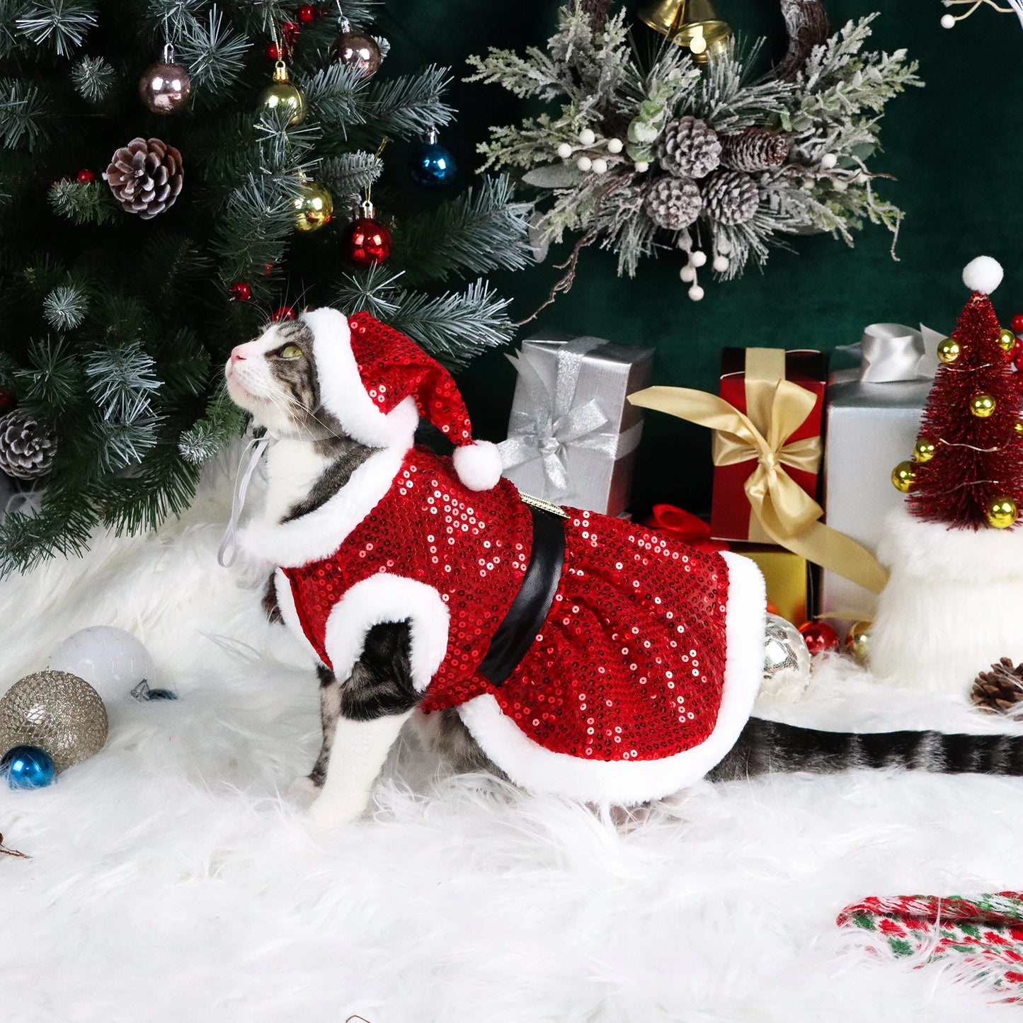 Set of 2 Dog Christmas Dresses