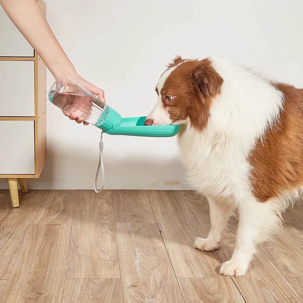 Portable Dog Water Bottle