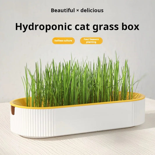 Hydroponic Cat Grass Box