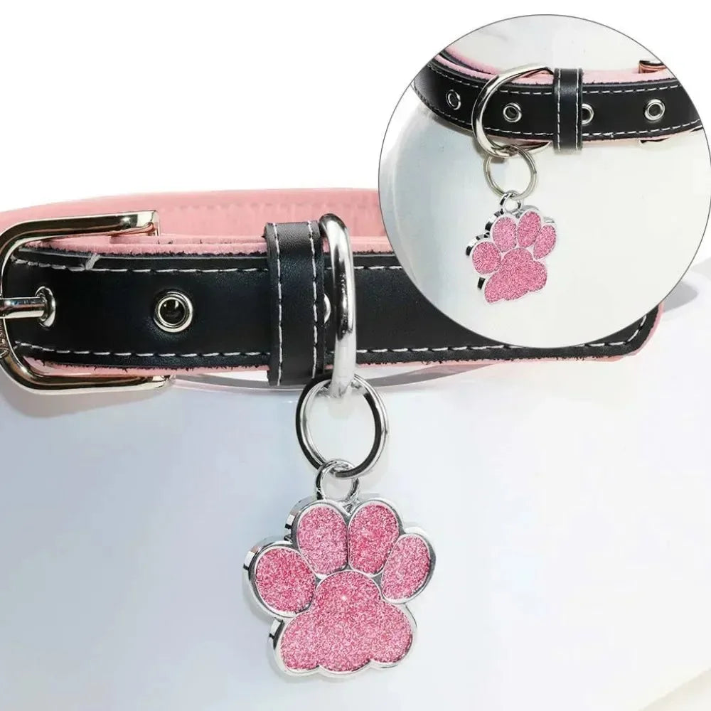 RDsPetSupplies24