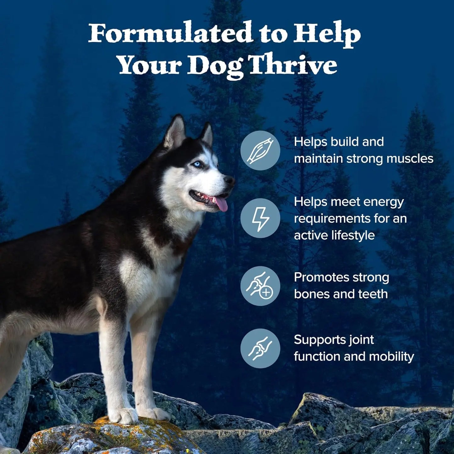 Natural High-Protein Dry Food for Adult Dogs,