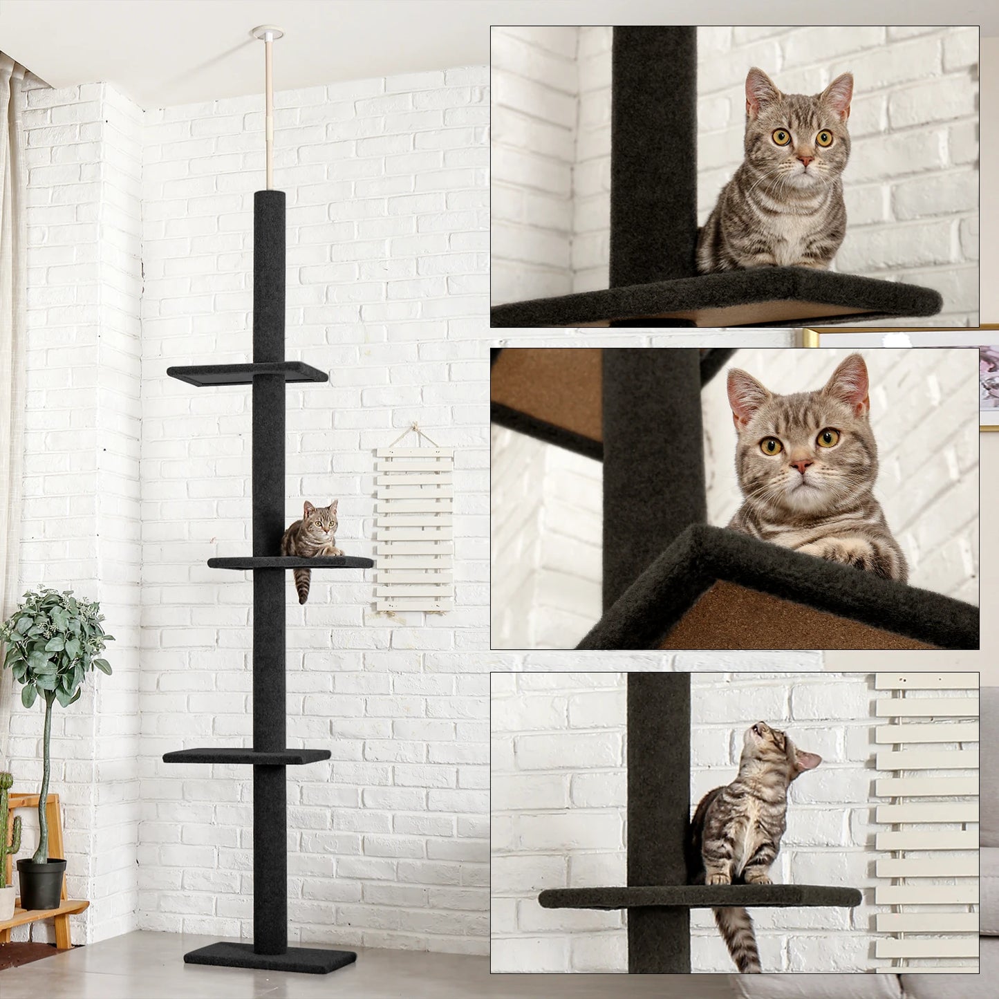 Adjustable Height Cat Tree for Indoor