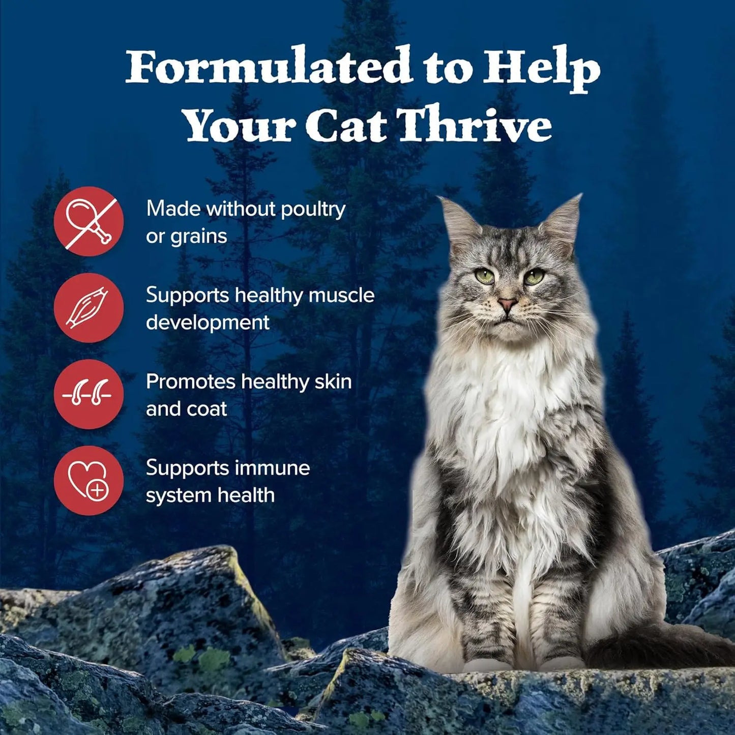 Adult Dry Cat Food,