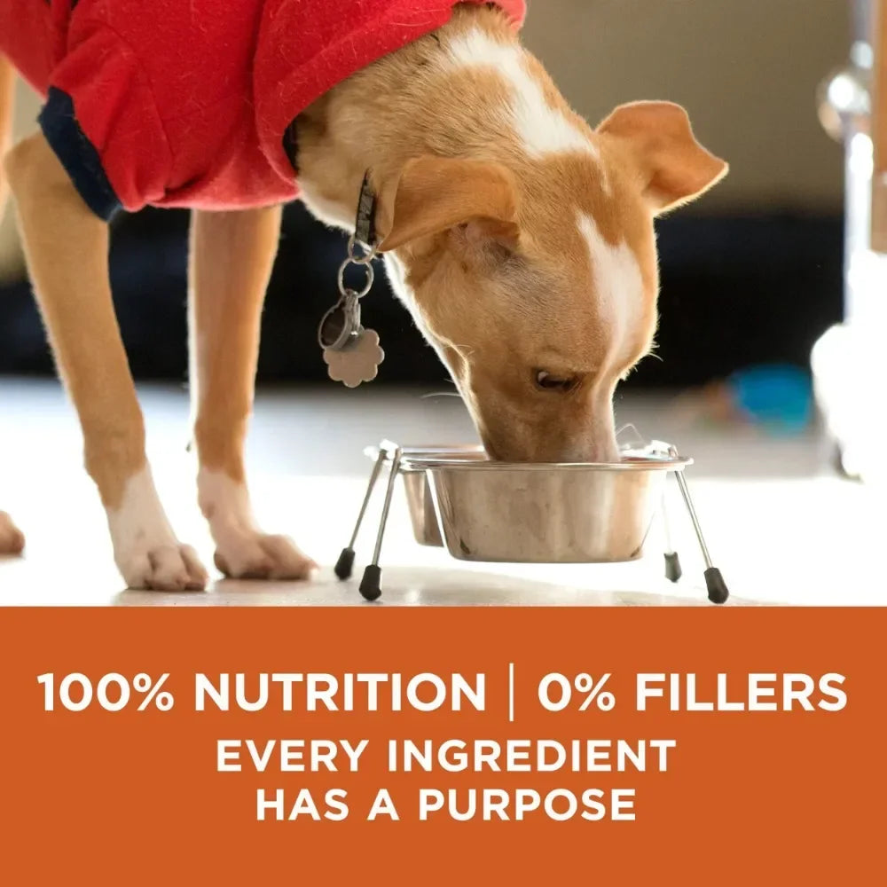 Healthy Weight Dog Food, Dry Formula,