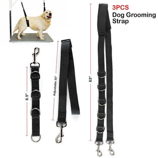 New Solid Dog Chain and Collar Set for Pet Grooming with Secure Leash