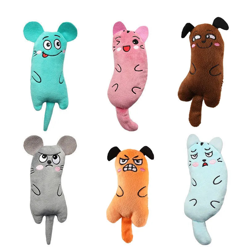 RDsPetSupplies24