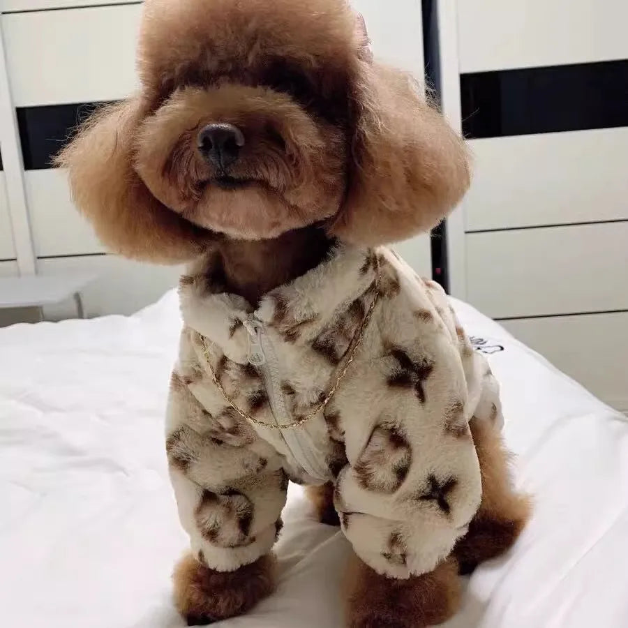 Dog clothes autumn winter