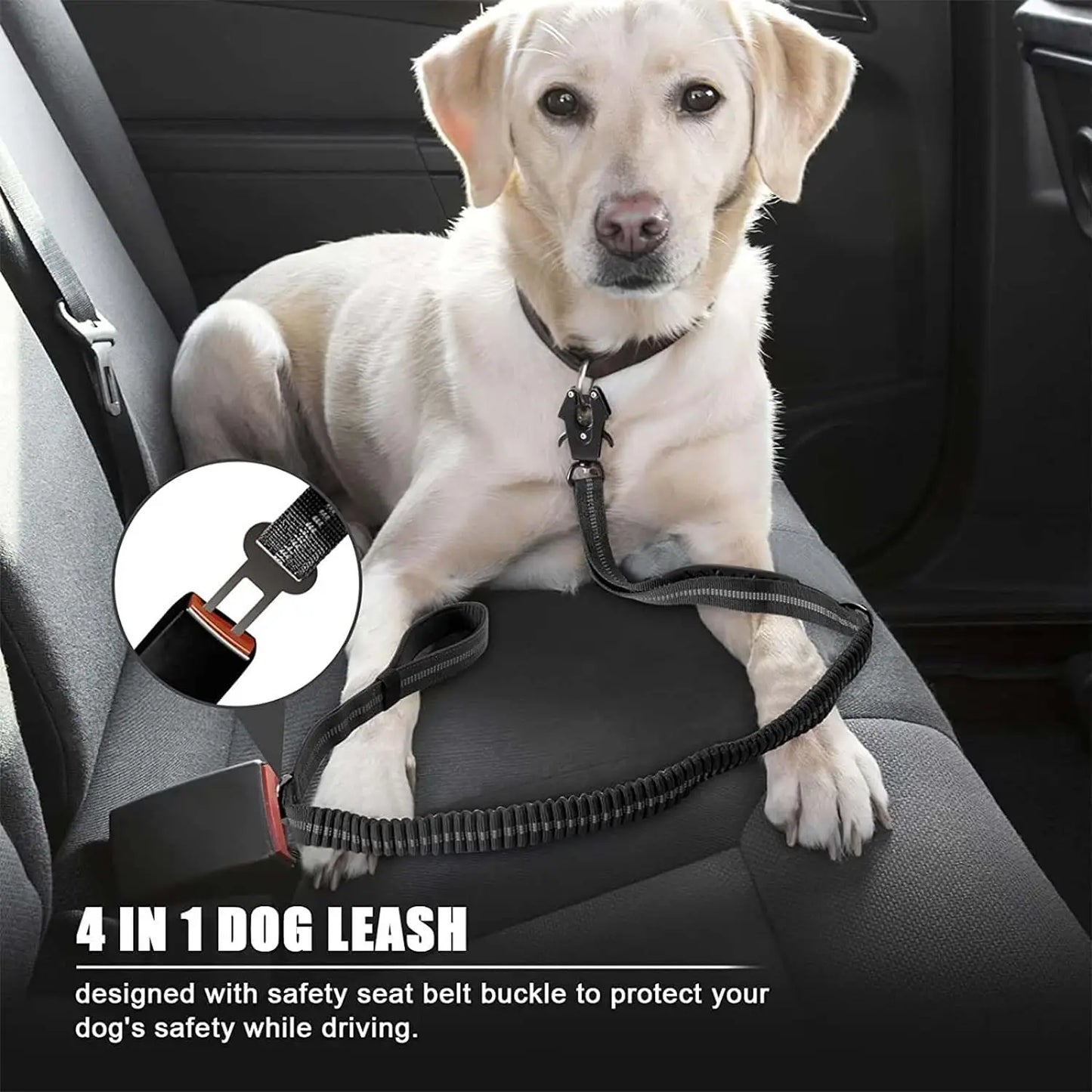 Reflective Shock Absorbing Pet Leashes