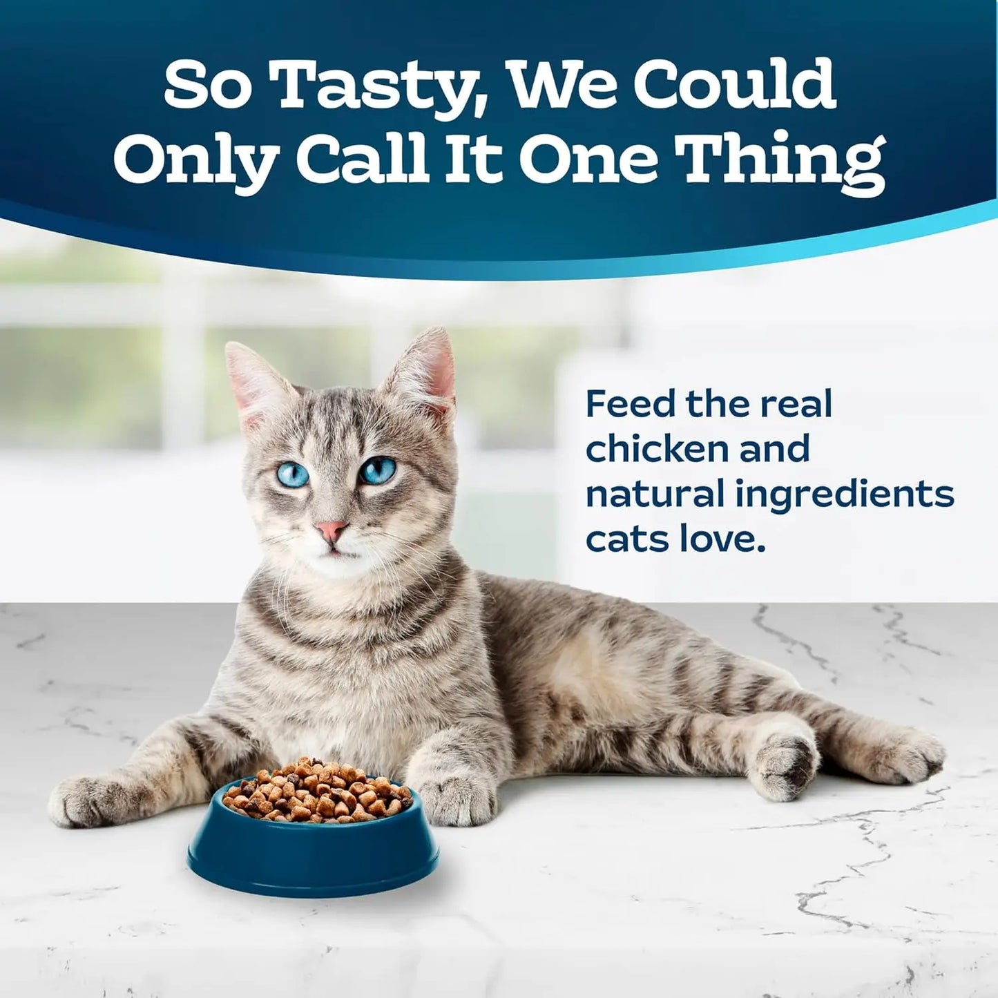 l Dry Food for Adult Indoor Cats,