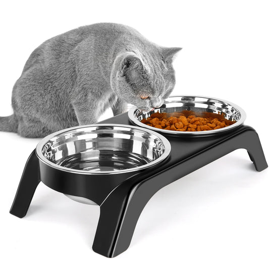 Elevated Food Water Bowl Set