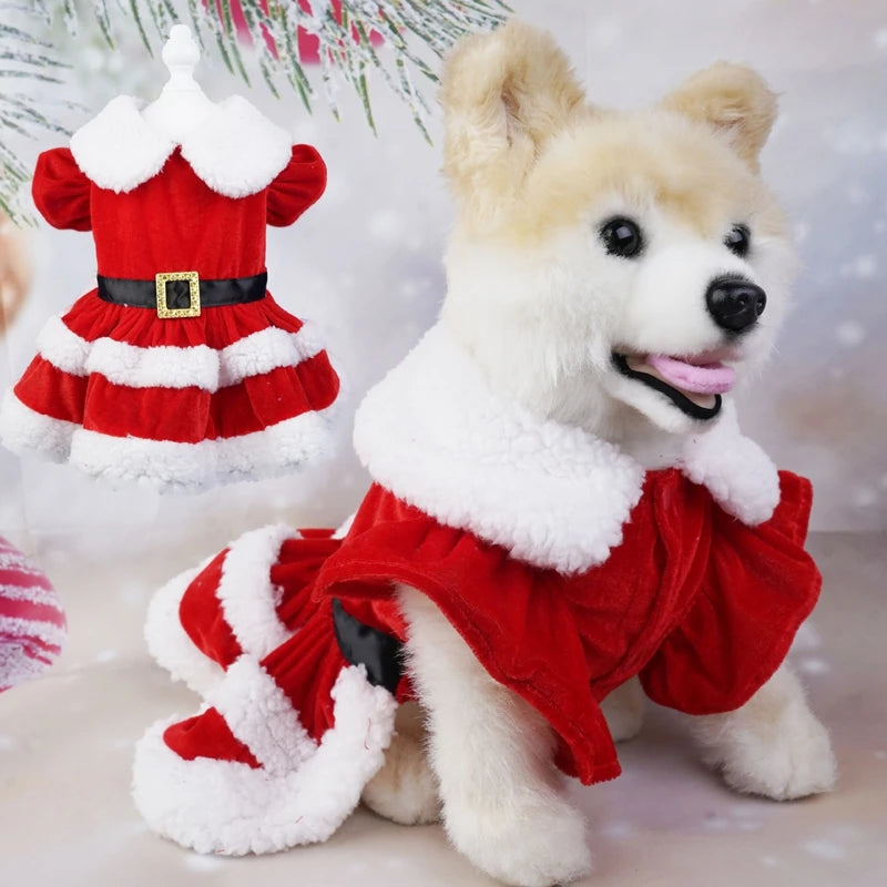 Dog Christmas Costume