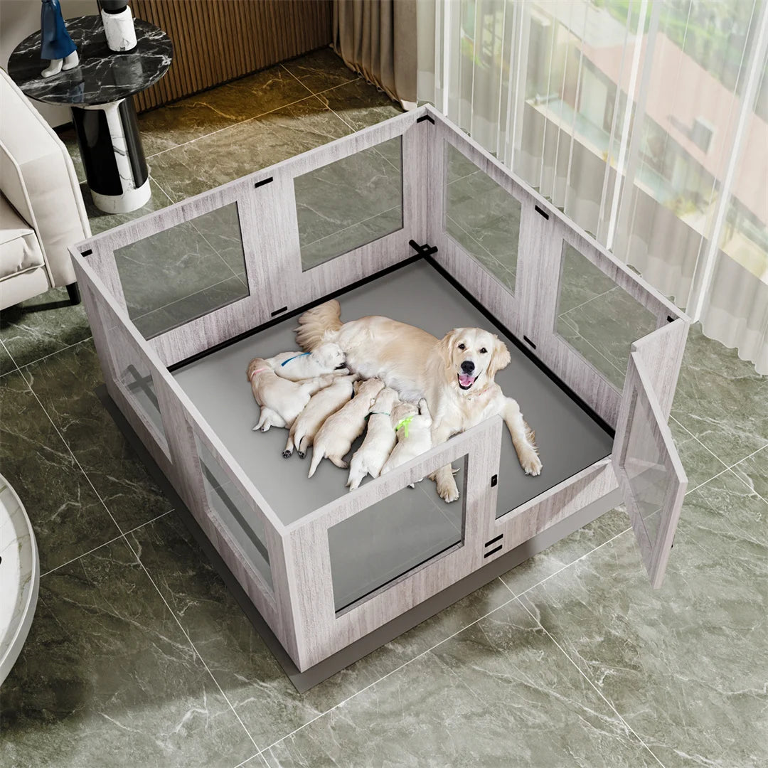 Tempered Glass Pet Whelping Box