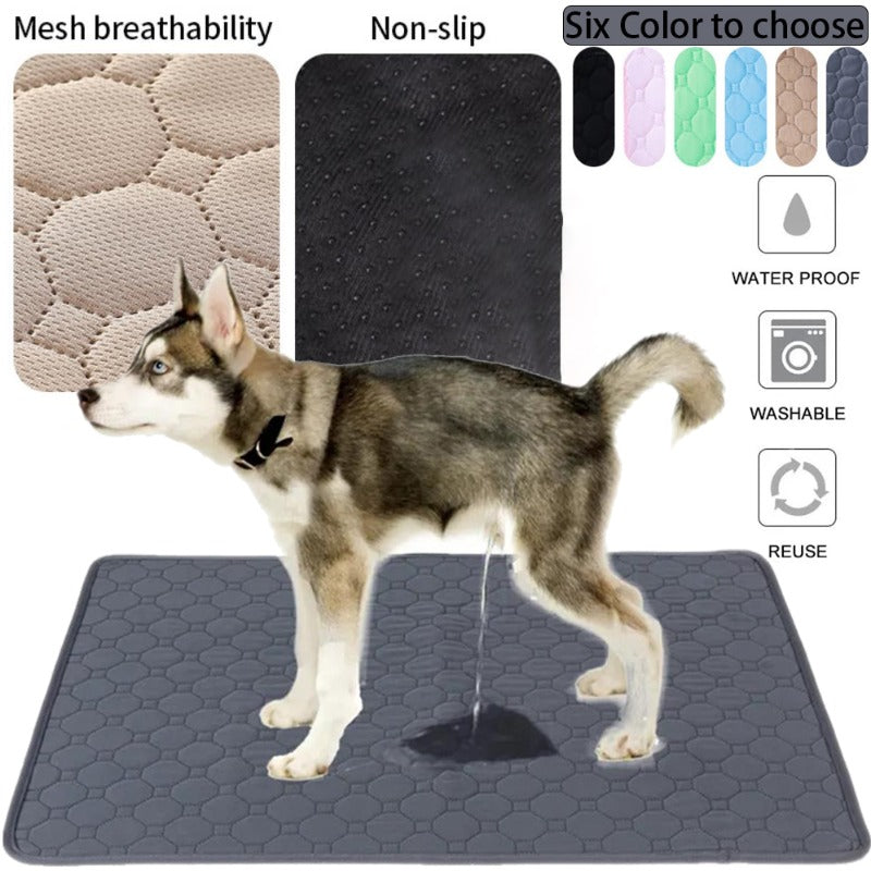 RDsPetSupplies24