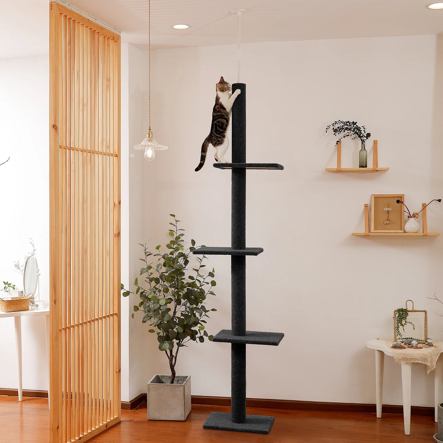 Adjustable Height Cat Tree for Indoor