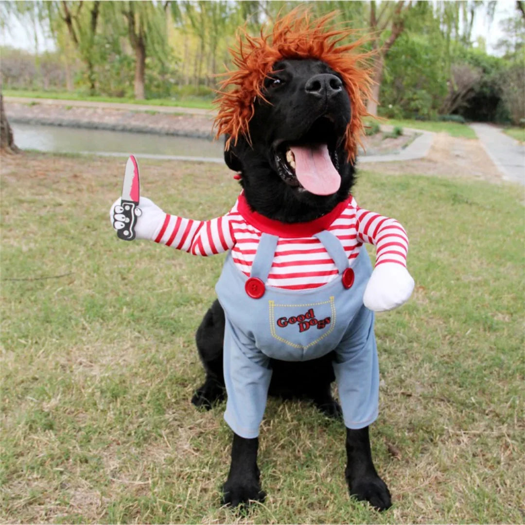 Dog Cat Pet Funny Costume