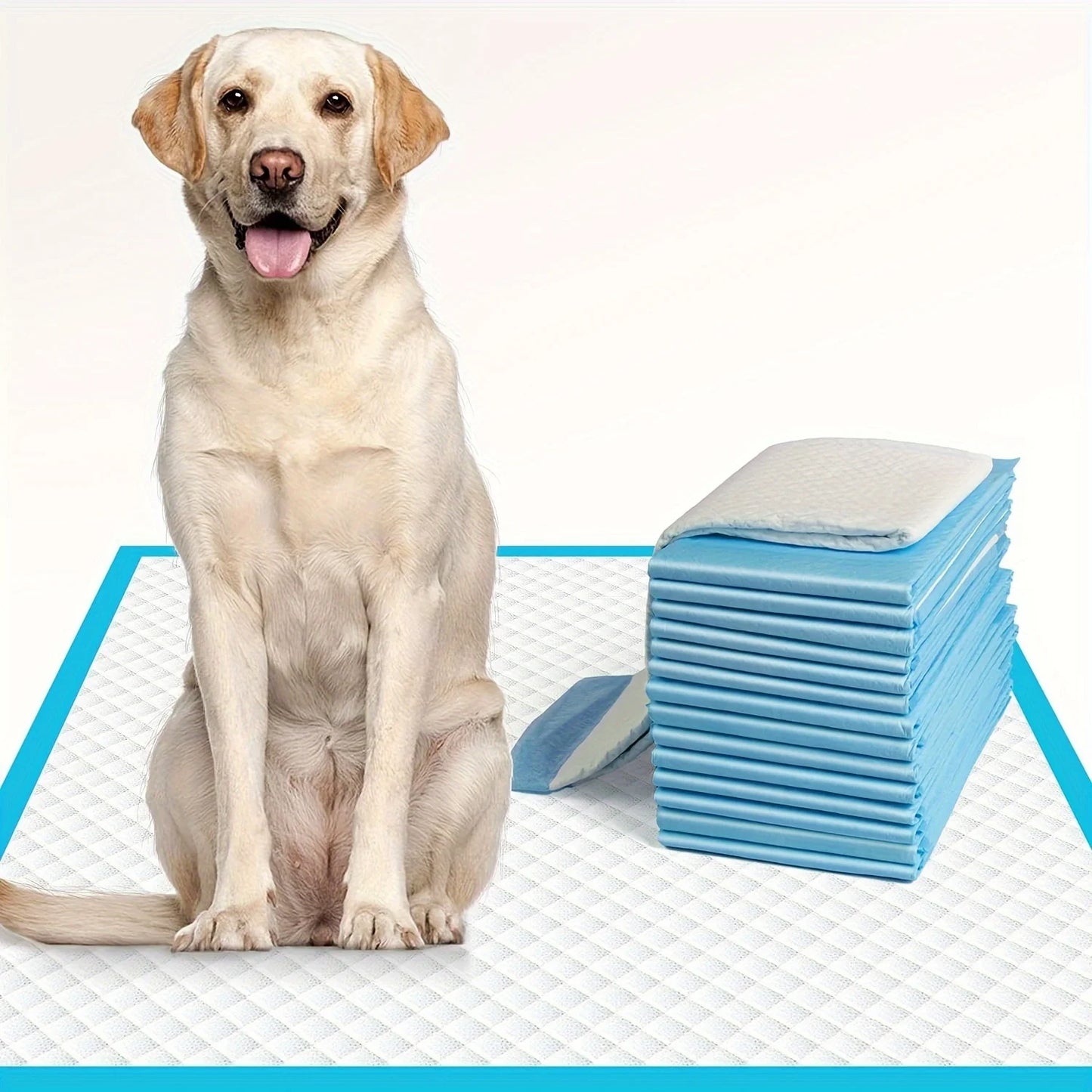 Dog Pad 33x45cm Puppy Training Pad Water-absorbent and Leak-proof Disposable Pet Pee Pad Small Dog Toilet Training Pee Pad