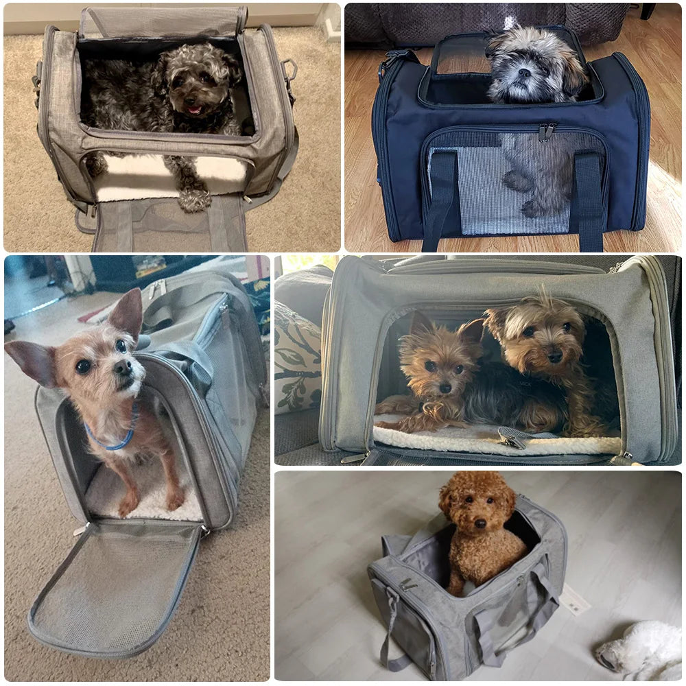 Pet Carriers Travel Bags For Small Dogs Cats